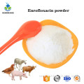 Buy online CAS3106-60-6 Enrofloxacin msds powder for dogs